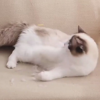 Reusable Pet Hair Remover Roller - Clean Your Home in Seconds